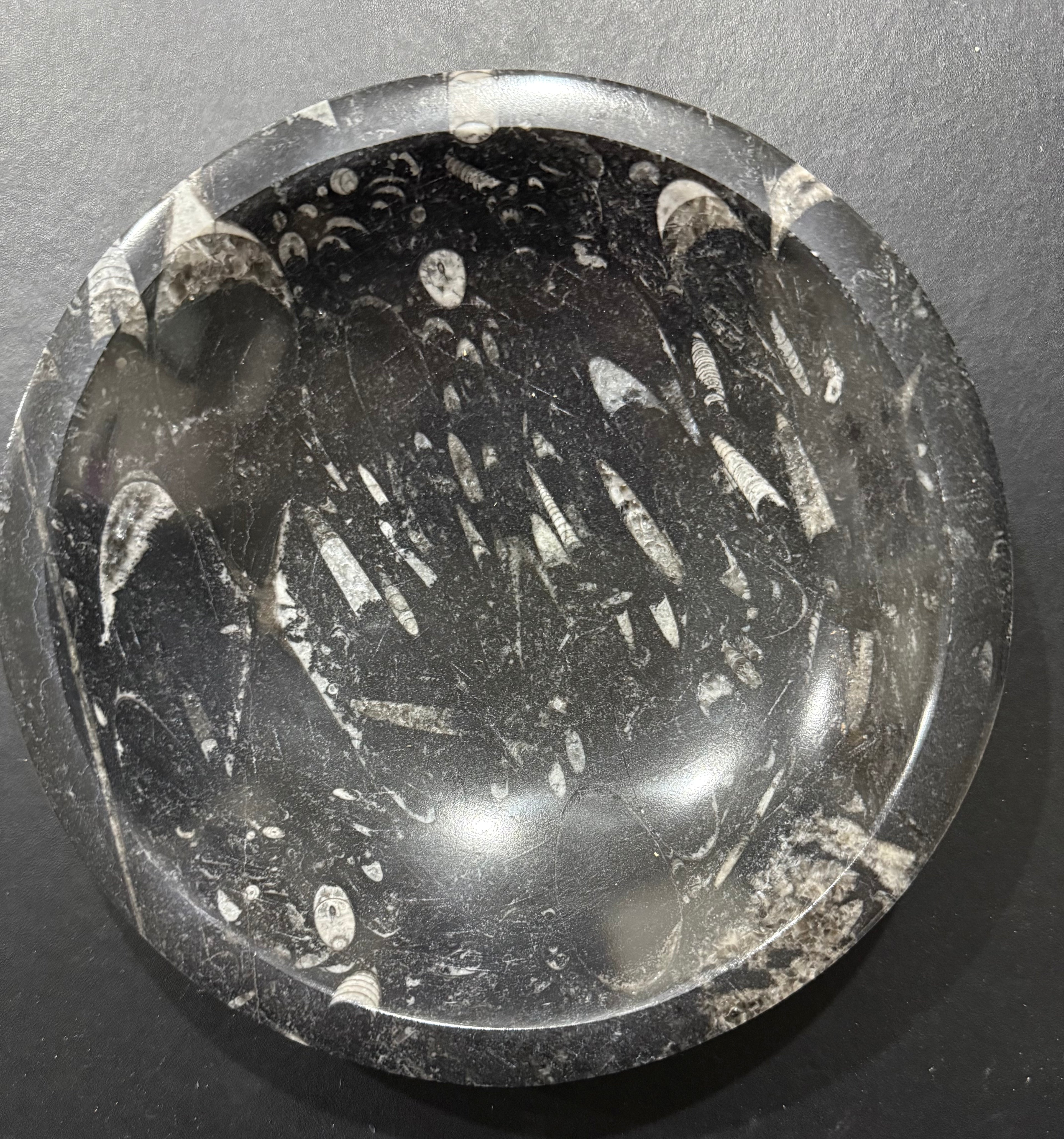 Orthoceras Fossil Bowl